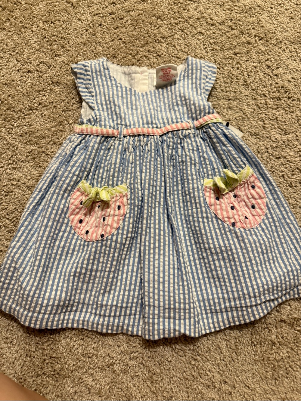 Blue & White Striped Seersucker Dress with Pink Strawberry Pockets